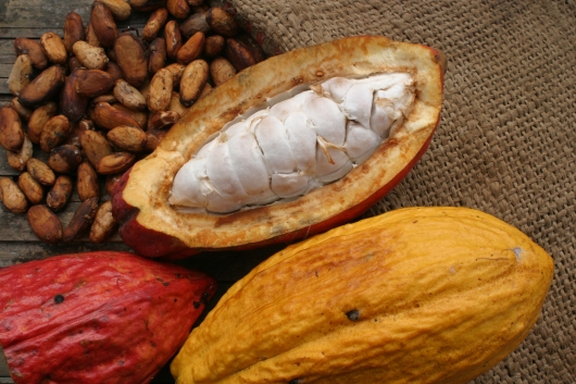 Cacao ecuatoriano